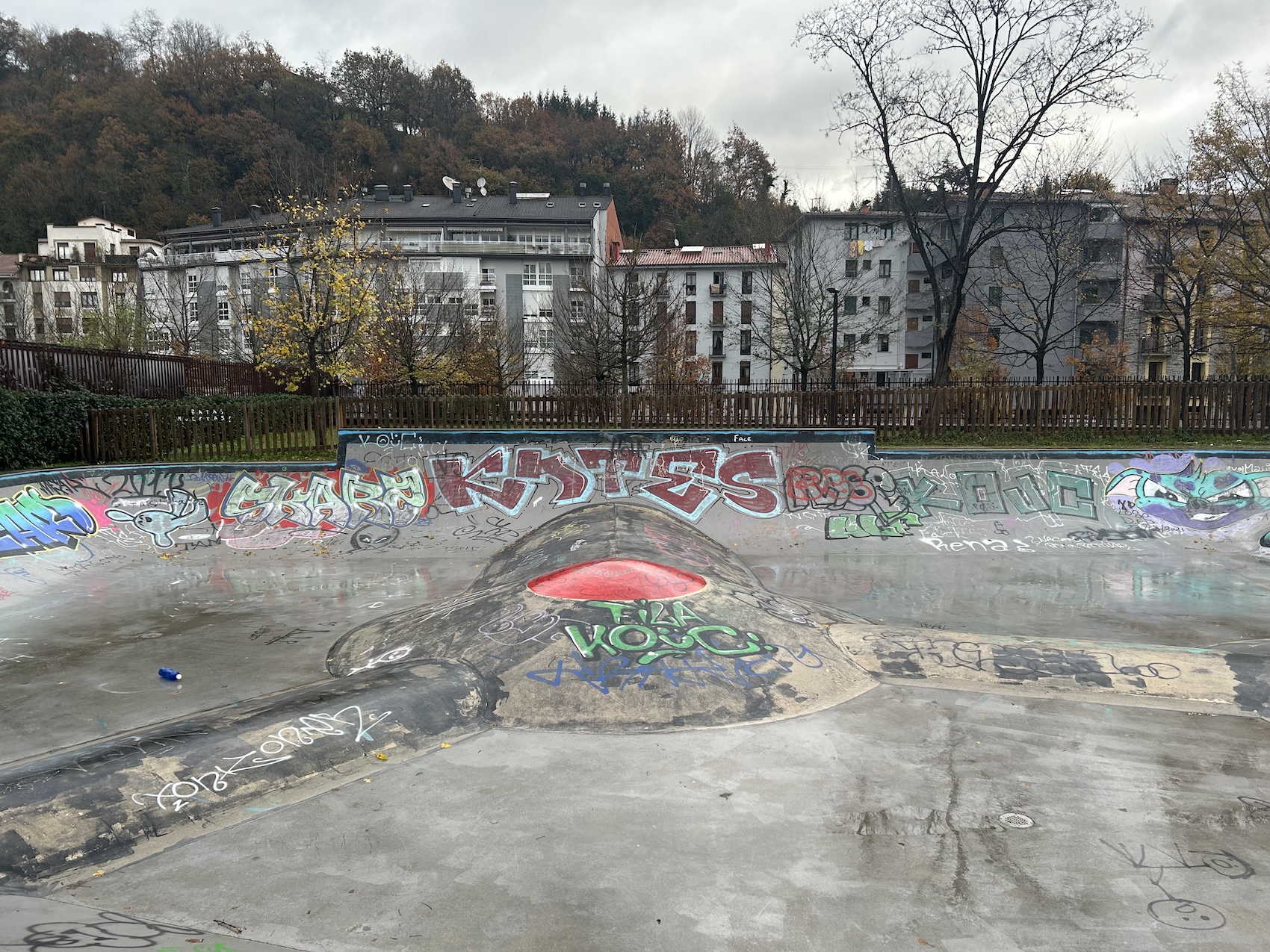 Ordizia skatepark